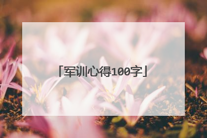 军训心得100字
