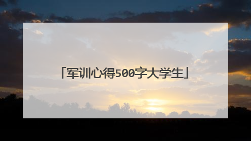 军训心得500字大学生