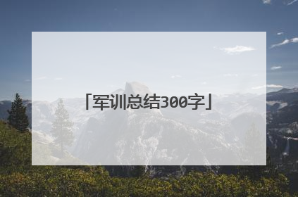 军训总结300字