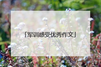 军训感受优秀作文