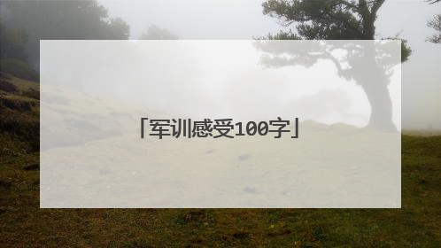 军训感受100字