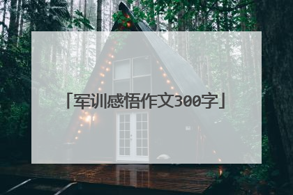 军训感悟作文300字