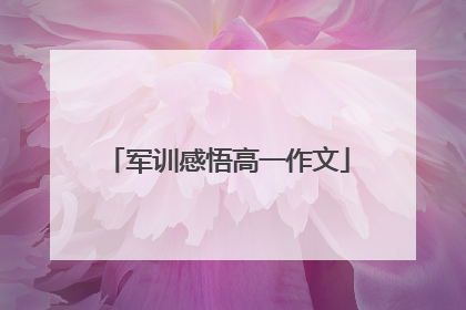 军训感悟高一作文