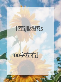 军训感悟500字左右
