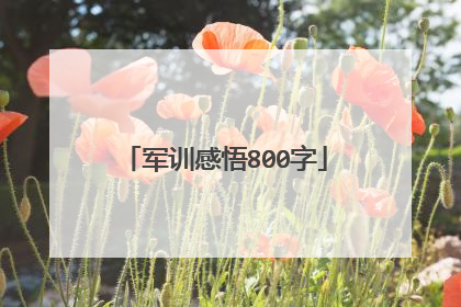 军训感悟800字