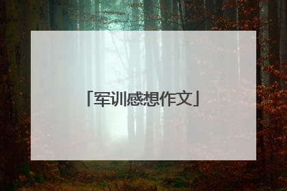 军训感想作文