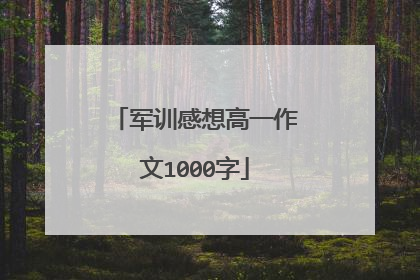 军训感想高一作文1000字