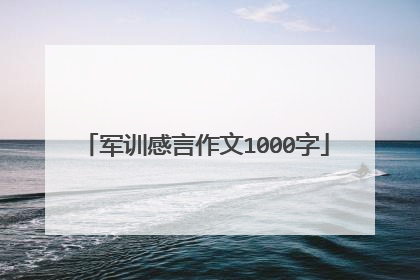 军训感言作文1000字