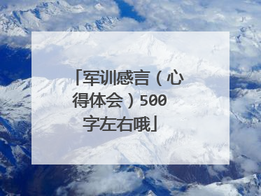 军训感言(心得体会)500字左右哦