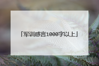 军训感言1000字以上