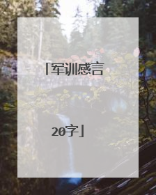 军训感言20字