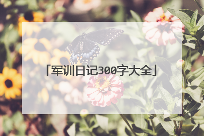 军训日记300字大全