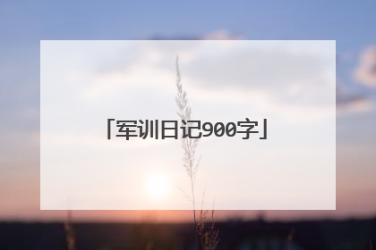 军训日记900字