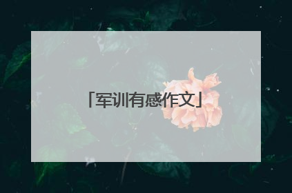 军训有感作文