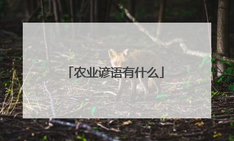 农业谚语有什么