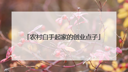 农村白手起家的创业点子