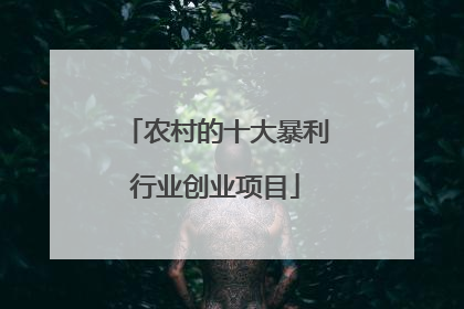 农村的十大暴利行业创业项目