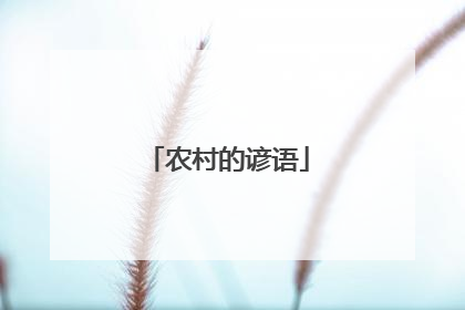 农村的谚语