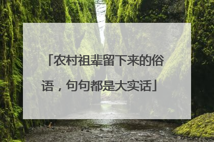 农村祖辈留下来的俗语，句句都是大实话