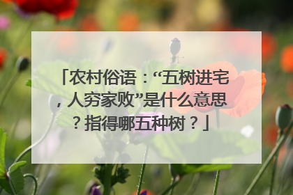 农村俗语：“五树进宅，人穷家败”是什么意思？指得哪五种树？