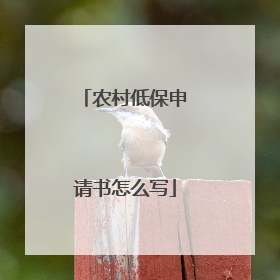 农村低保申请书怎么写