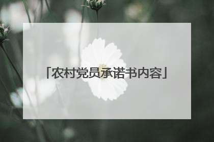 农村党员承诺书内容