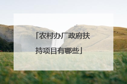 农村办厂政府扶持项目有哪些