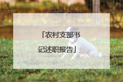 农村支部书记述职报告