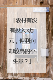 农村有没有投入3万元,但利润却较高的小生意?