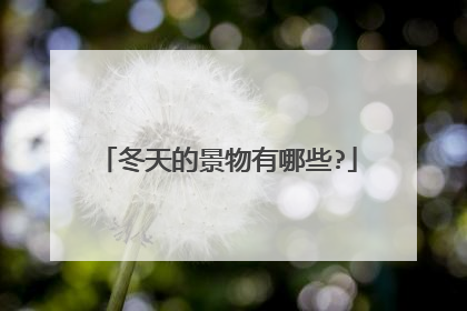 冬天的景物有哪些?
