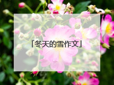 冬天的雪作文