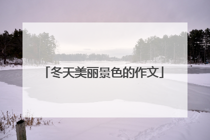 冬天美丽景色的作文