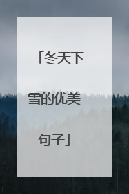 冬天下雪的优美句子