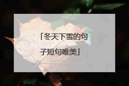 冬天下雪的句子短句唯美