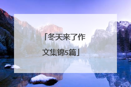 冬天来了作文集锦5篇