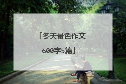冬天景色作文600字5篇