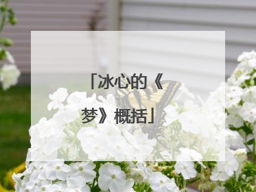 冰心的《梦》概括