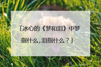 冰心的《梦和泪》中梦指什么,泪指什么？