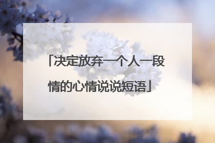决定放弃一个人一段情的心情说说短语