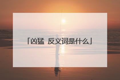凶猛 反义词是什么