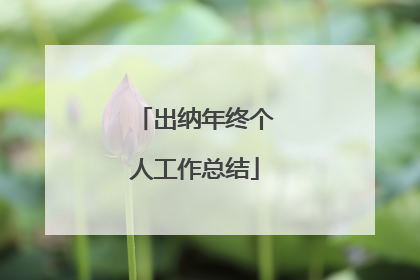 出纳年终个人工作总结