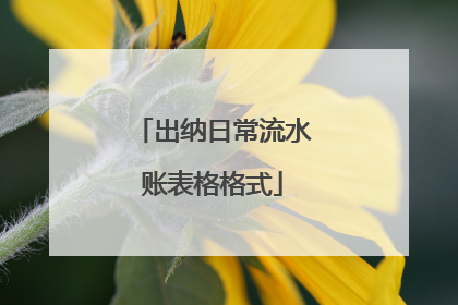 出纳日常流水账表格格式