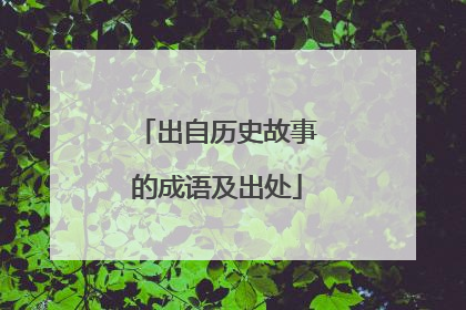 出自历史故事的成语及出处