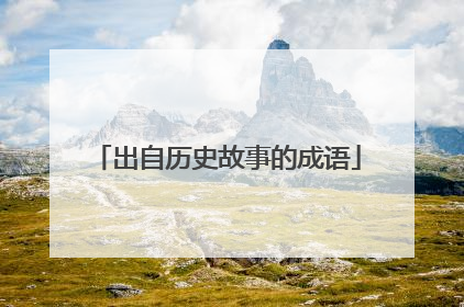 出自历史故事的成语