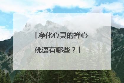 净化心灵的禅心佛语有哪些？