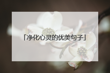 净化心灵的优美句子