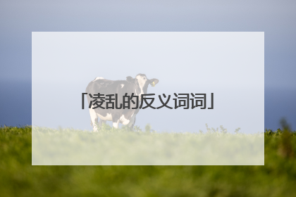 凌乱的反义词词
