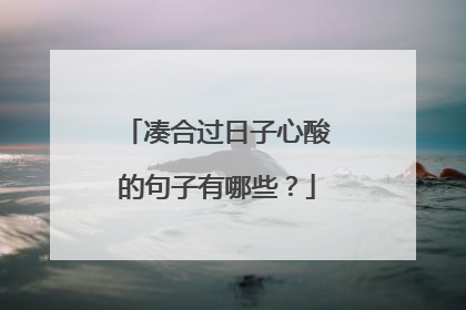 凑合过日子心酸的句子有哪些?