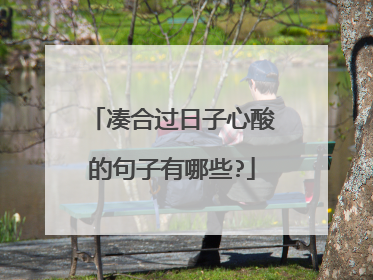 凑合过日子心酸的句子有哪些?