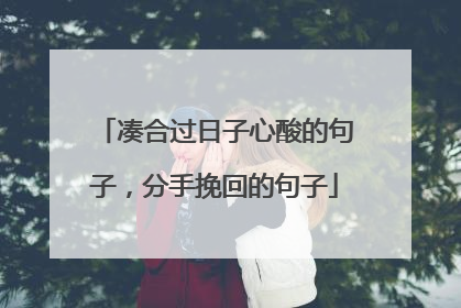 凑合过日子心酸的句子,分手挽回的句子